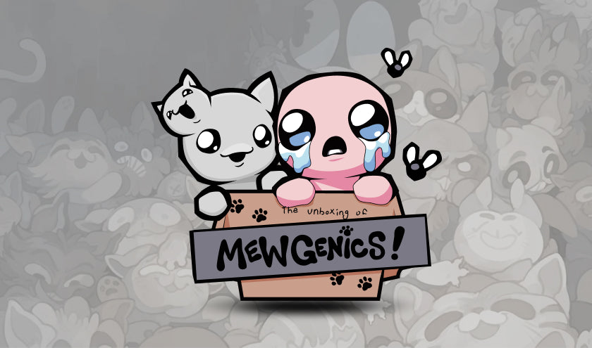 The unboxing of Mewgenics preorder box